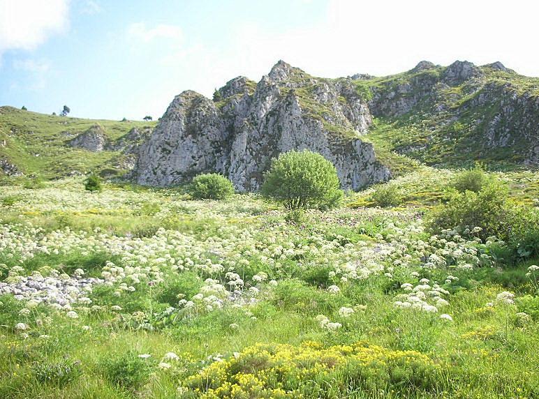 Immagini dal Monte Guglielmo (BS)